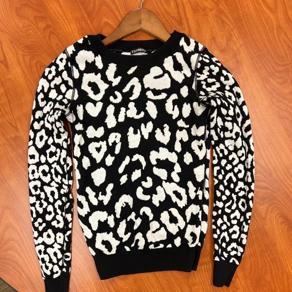 Express Sweater